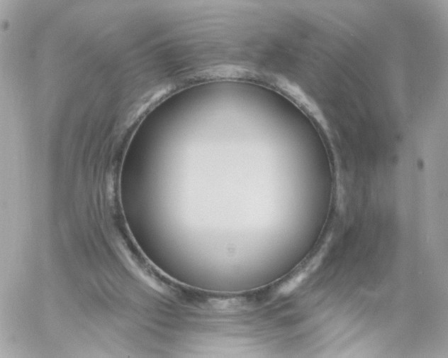 X0000058120057200510212031