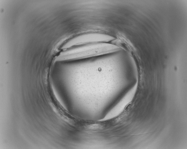 X0000058120058200510212031