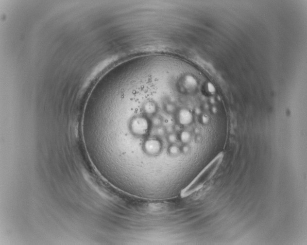 X0000058120060200510212031