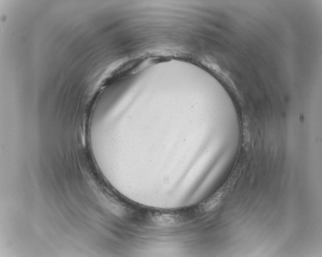 X0000058120062200510212031