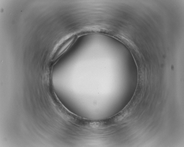 X0000058120064200510212031