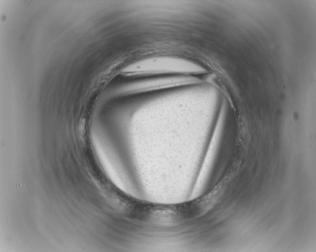 X0000058120066200510212031