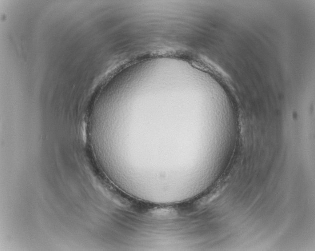 X0000058120067200510212031