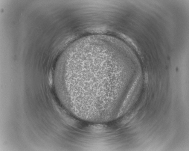 X0000058120069200510212031