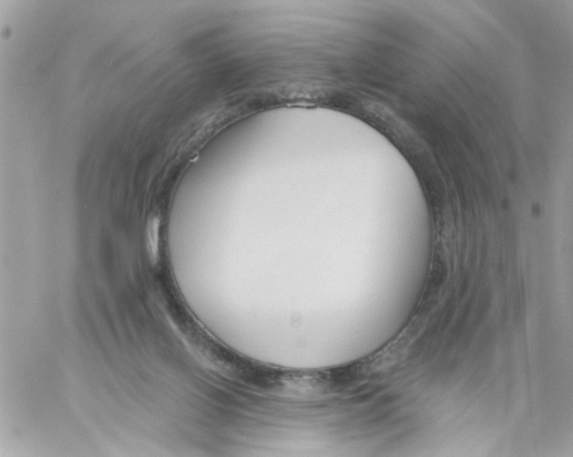 X0000058120070200510212031