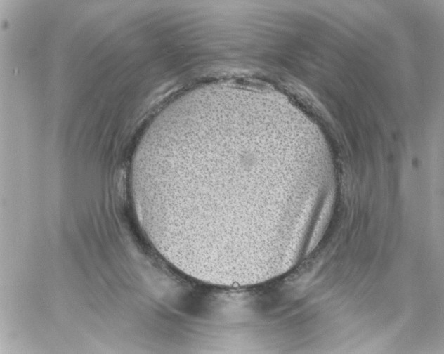 X0000058120071200510212031