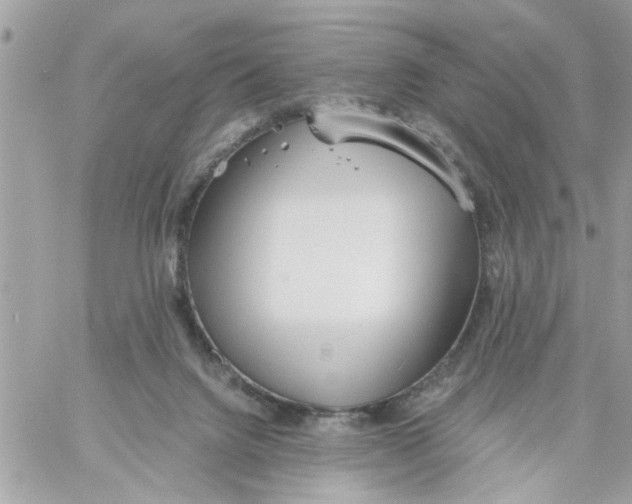 X0000058120072200510212031