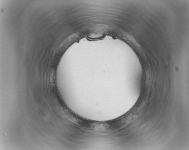 X0000058120073200510212031