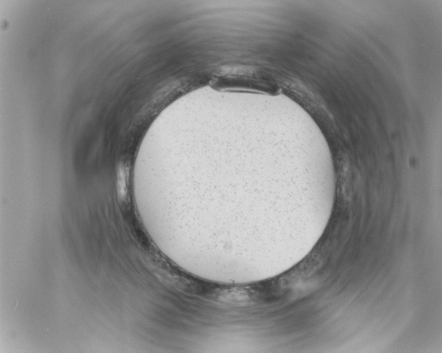 X0000058120075200510212031