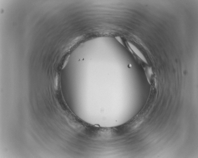 X0000058120076200510212031