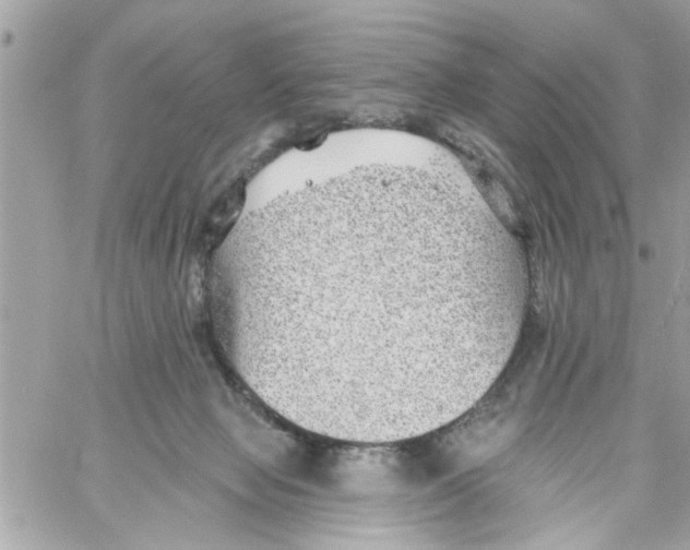 X0000058120077200510212031