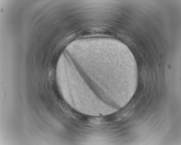 X0000058120079200510212031