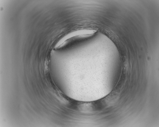 X0000058120081200510212031