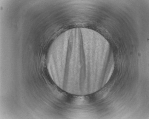 X0000058120083200510212031