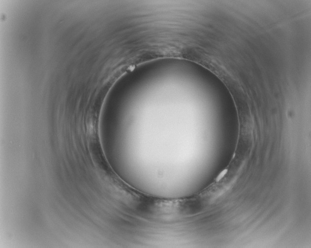 X0000058120084200510212031