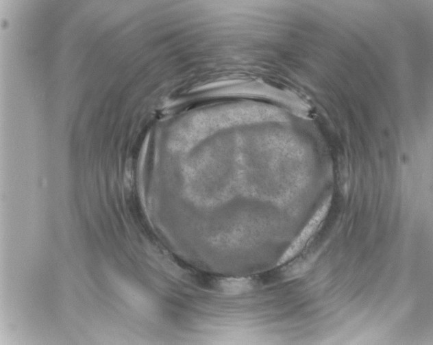 X0000058120085200510212031