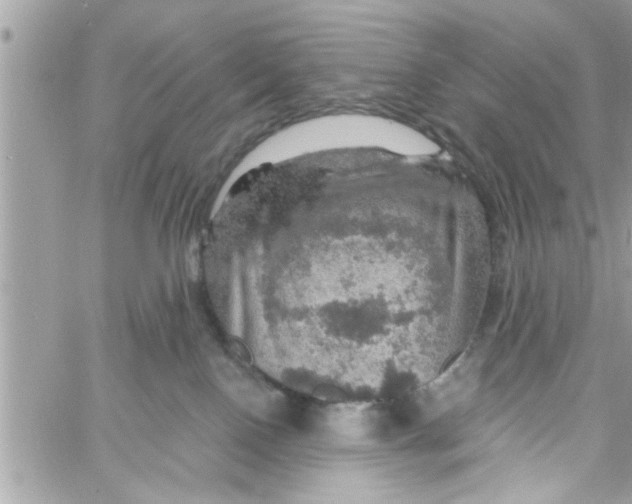 X0000058120090200510212031