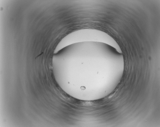 X0000058120091200510212031