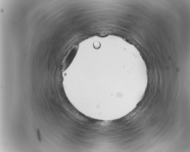 X0000058120092200510212031