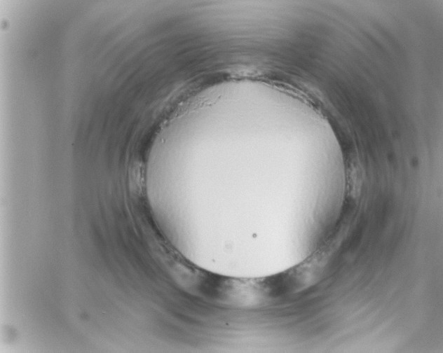 X0000058120093200510212031