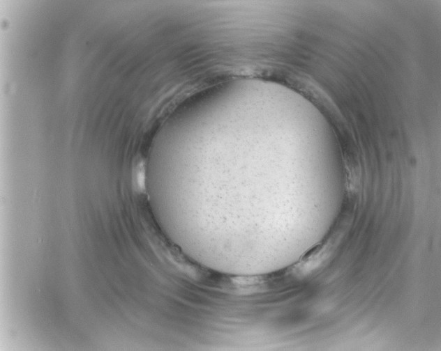 X0000058120095200510212031