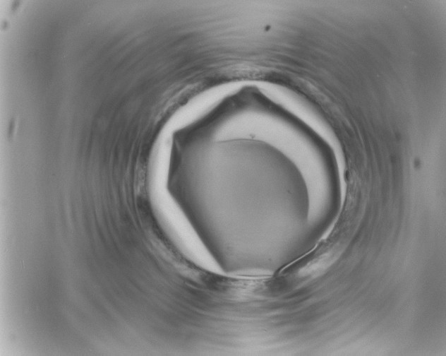 X0000058120096200510212031