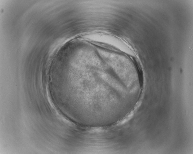 X0000058120097200510212031