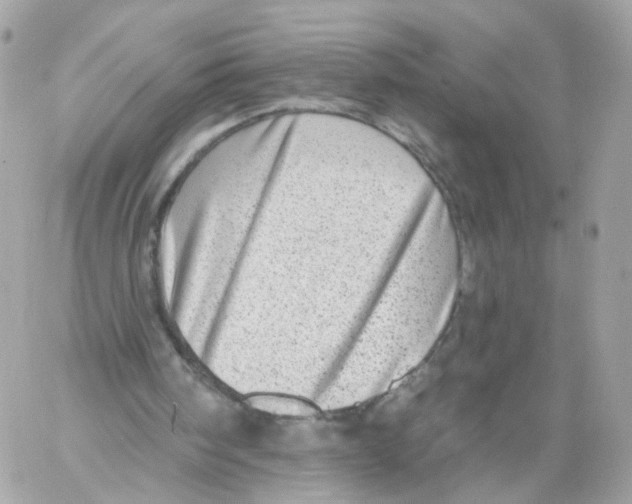 X0000058120098200510212031