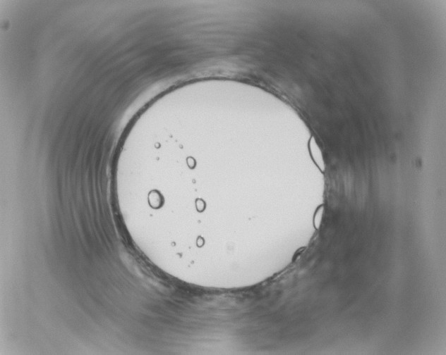 X0000058120100200510212030