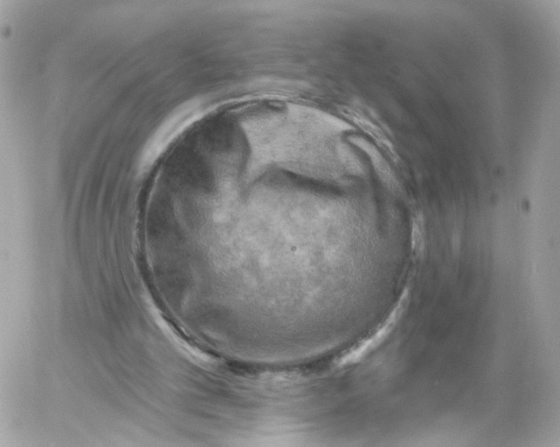 X0000058120101200510212030