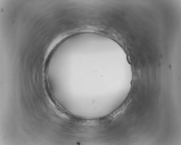 X0000058120102200510212030