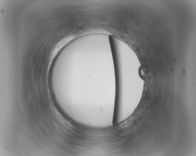 X0000058120104200510212030