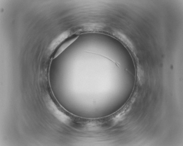 X0000058120105200510212030