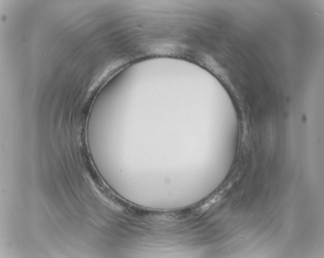 X0000058120106200510212030