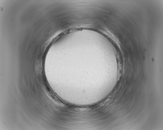 X0000058120107200510212030