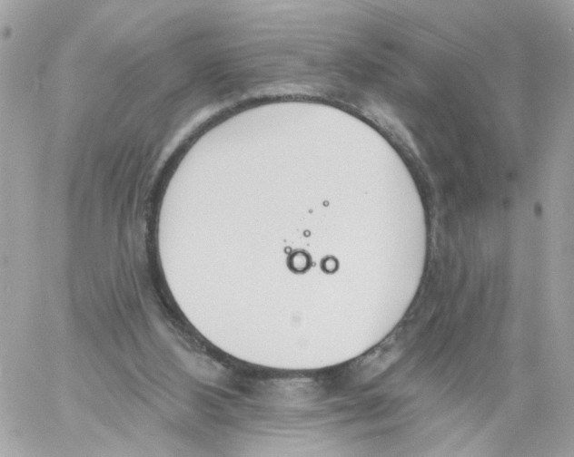 X0000058120108200510212030