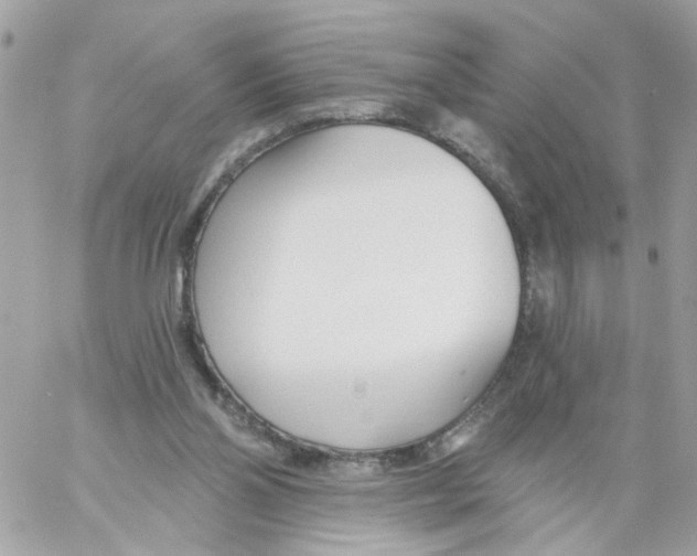 X0000058120110200510212030