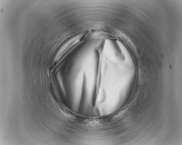 X0000058120113200510212030