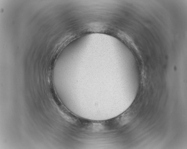 X0000058120114200510212030