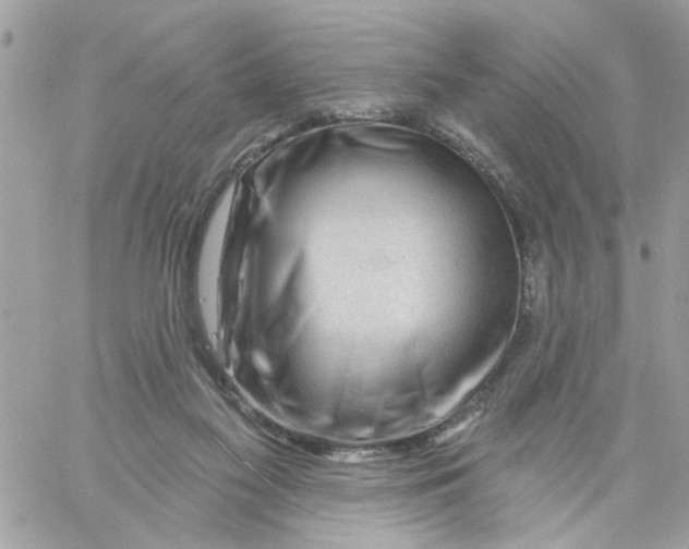 X0000058120117200510212030