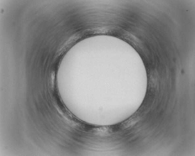 X0000058120118200510212030