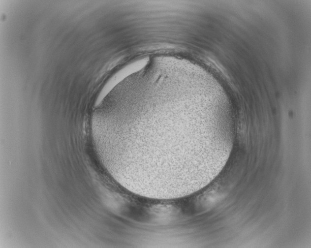 X0000058120119200510212030