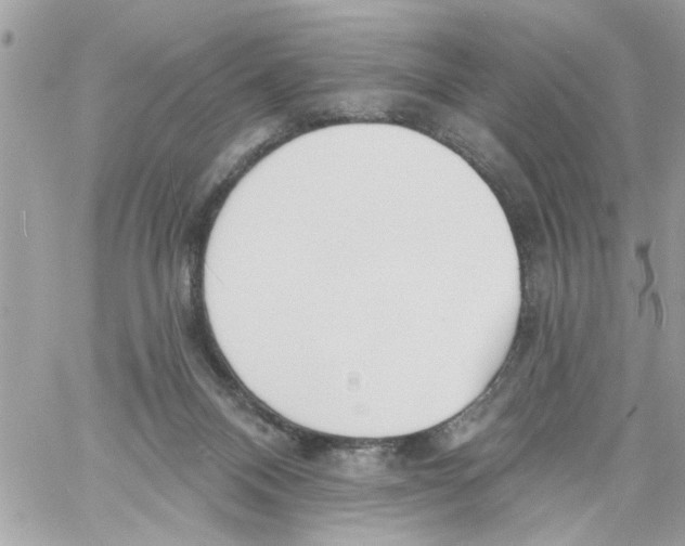 X0000058120120200510212030