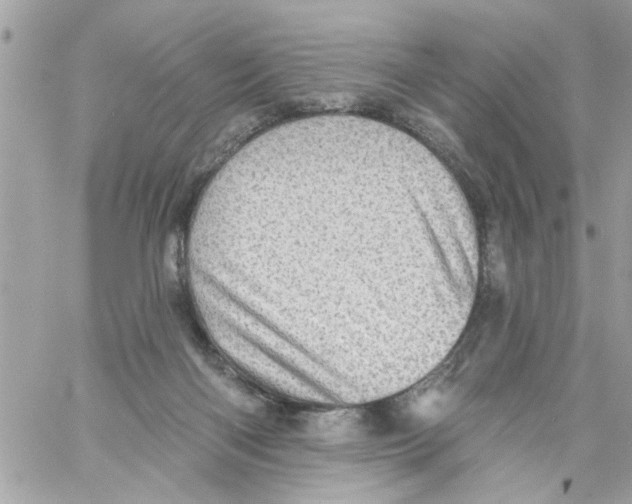 X0000058120122200510212030