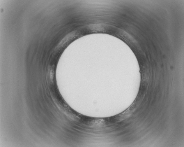 X0000058120124200510212030