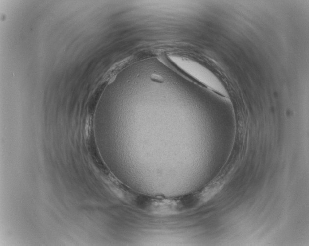 X0000058120125200510212030