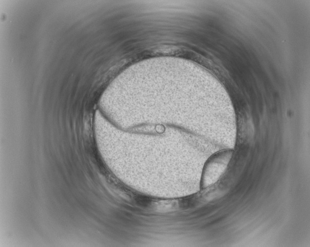 X0000058120126200510212030