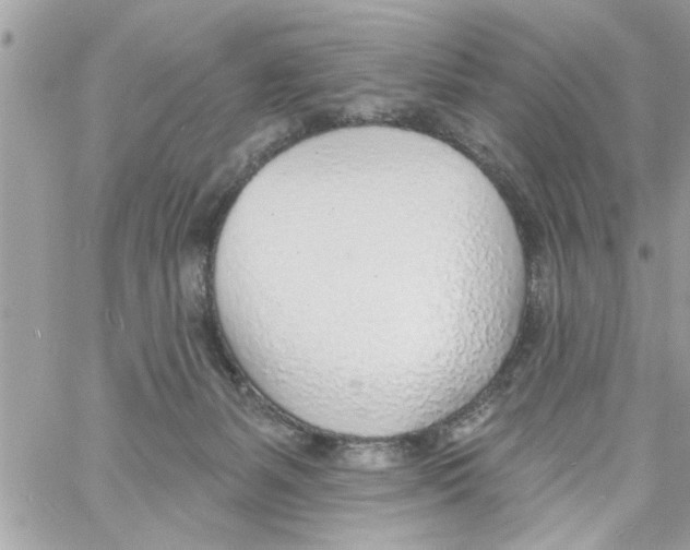 X0000058120127200510212030