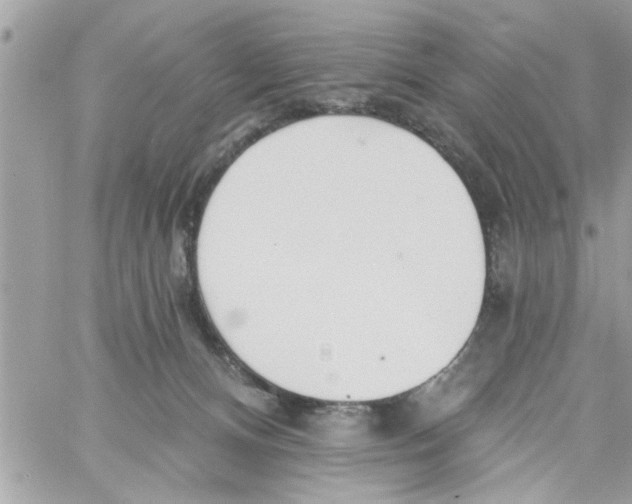 X0000058120128200510212030