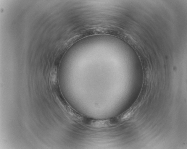 X0000058120129200510212030